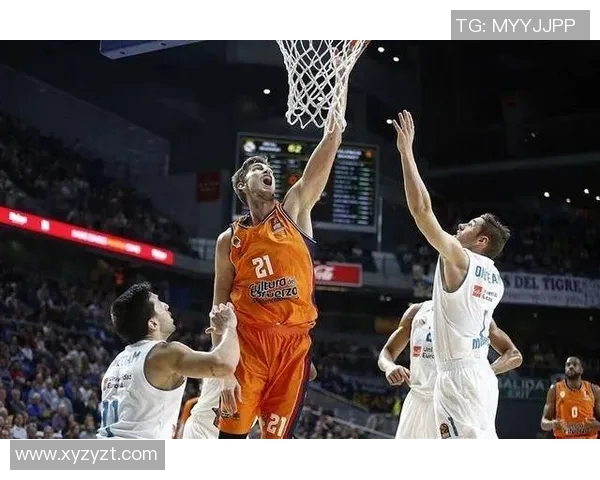 海南篮球明星的崛起与发展之路探索